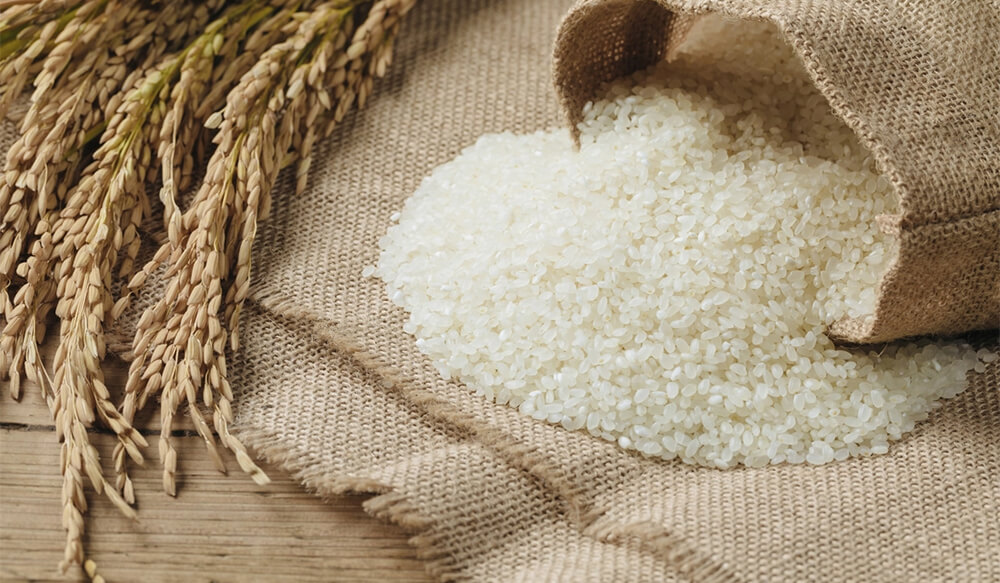 進口泰國香米報關必備資料清單-廣州貨代